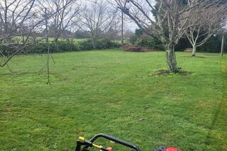 Before mowing Greytown